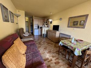 Studio Cap d'Agde, 1 pièce, 4 personnes - FR-1-702-9