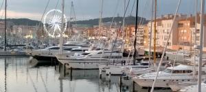 Studio Cap d'Agde la grande voile