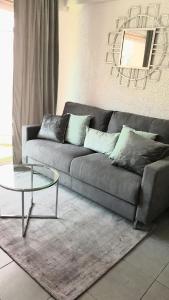 Studio Center Cannes grande Terasse