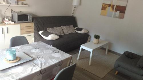 Studio centre Carroz CA210