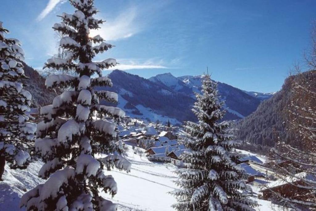 Studio centre Châtel avec coin montagne Chemin des Ruisseaux, 74390 Châtel