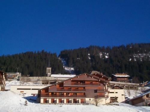 Studio centre Châtel avec coin montagne