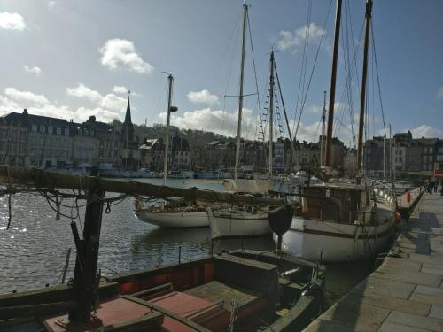 Studio centre historique Honfleur