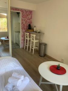 Studio Centre - Terrasse WIFI & Parking GRATUIT
