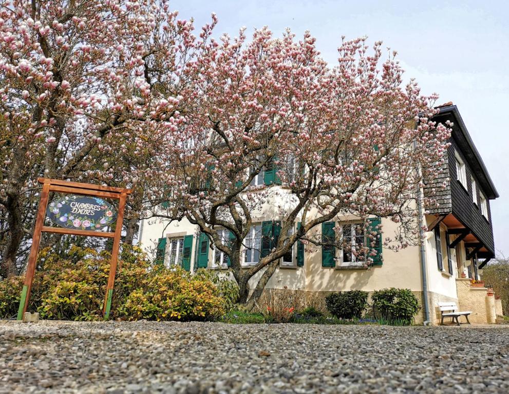 studio-centre-Thabor-balcon-1 personne 35000 Rennes