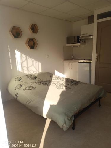 studio centre ville Agen