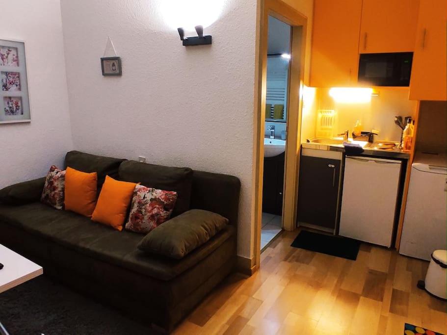 Appartement Studio centre ville Strasbourg 61 Rue du Faubourg-de-Pierre 67000 Strasbourg