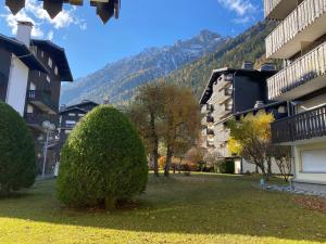 Studio Chamonix-Mont-Blanc, 1 pièce, 4 personnes - FR-1-343-154
