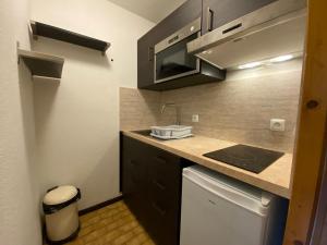 Studio Chamonix-Mont-Blanc, 1 pièce, 4 personnes - FR-1-343-154