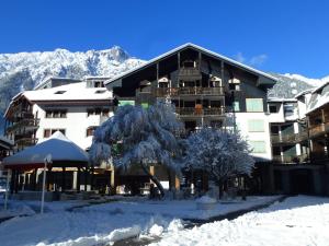 Studio Chamonix-Mont-Blanc, 1 pièce, 4 personnes - FR-1-343-156