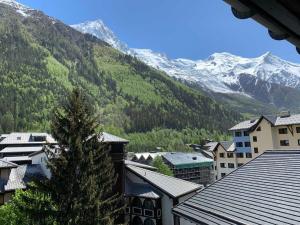 Studio Chamonix-Mont-Blanc, 1 pièce, 4 personnes - FR-1-343-238