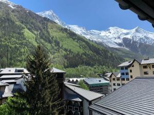 Appartement Studio Chamonix-Mont-Blanc, 1 pièce, 4 personnes - FR-1-343-238 187, rue Marie Paradis 74400 Chamonix-Mont-Blanc Rhône-Alpes