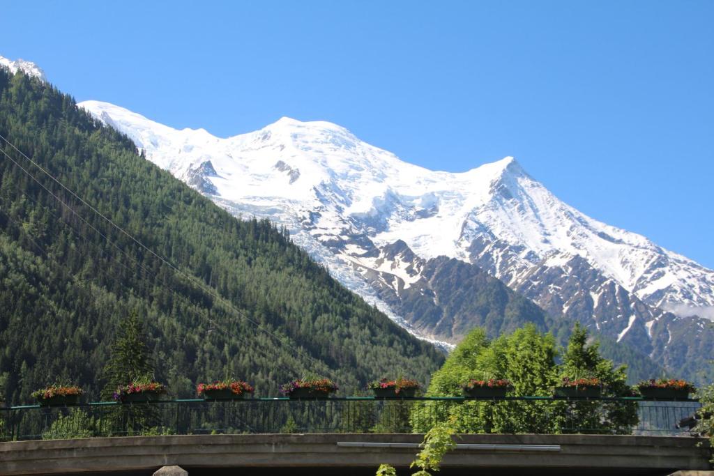 Appartement STUDIO CHAMONIX MONT-BLANC Idéalement situé 72 Descente des Périades 74400 Chamonix-Mont-Blanc