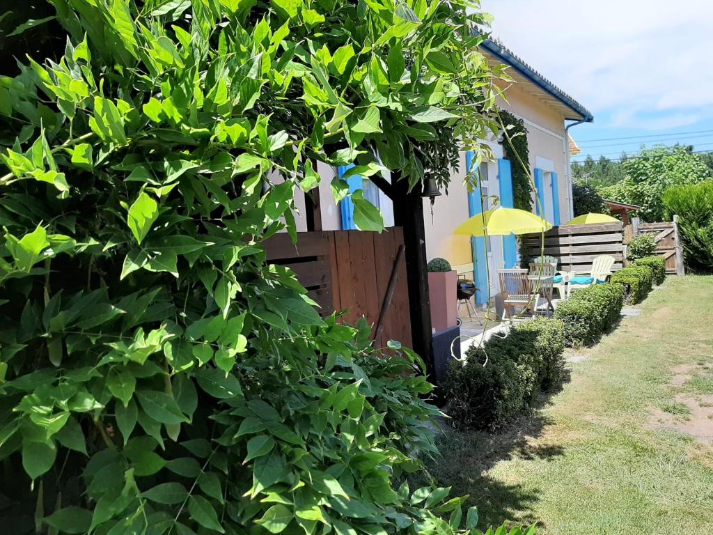Studio Championnet, piscine, balcon, haut confort 38000 Grenoble