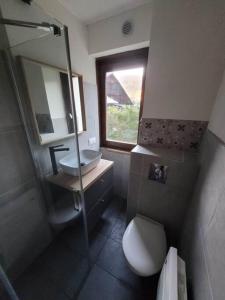 Studio Châtel rénové et lumineux