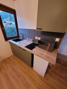 Appartement Studio Châtel rénové et lumineux 1311 Route des Freinets 74390 Châtel Rhône-Alpes