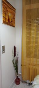 Studio city 2 de la contrescarpe d'Amiens