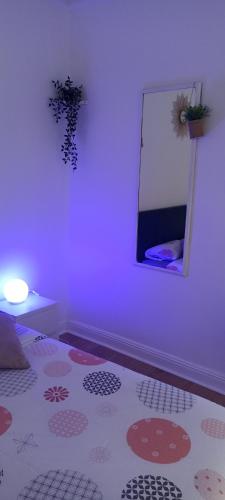Studio city 3 de la contrescarpe d'Amiens