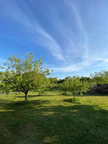 Studio climatisé dans un ancien domaine viticole