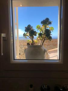 Studio Cocoon avec vue sur la baie de Calvi