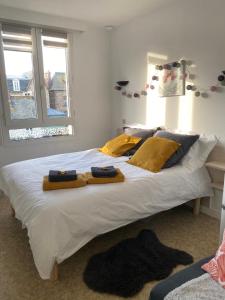 Studio cocooning