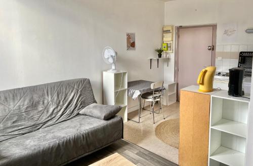 Appartement Studio Coeur de ville 20 Rue Elie Berthet 87000 Limoges Limousin