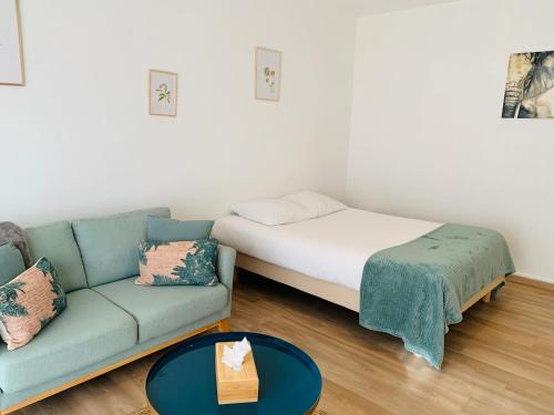 Studio Confort 35m2 Rénové, Equipé et Climatisé, tout se fait à pied!