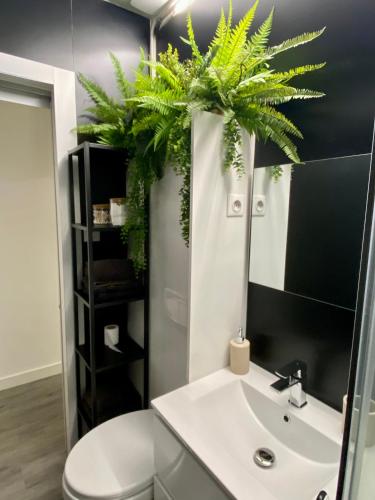Studio Confort Centre Ville