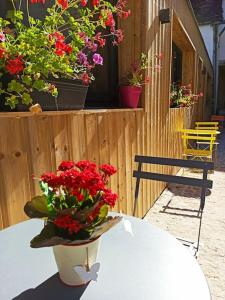 Appartement Studio confort la plume eglise 10400 Pont-sur-Seine Champagne-Ardenne