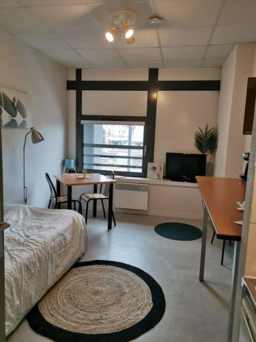 Studio confortable hyper centre de Tours