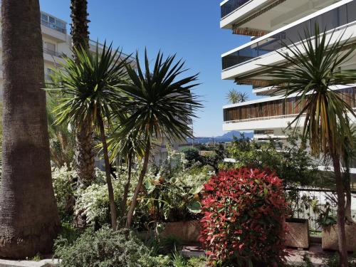 STUDIO CORINTHE JUAN LES PINS