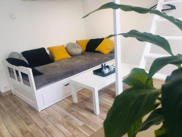 Appartement Studio Cosy 1 etage 17 Rue Porte Jaune 18000 Bourges