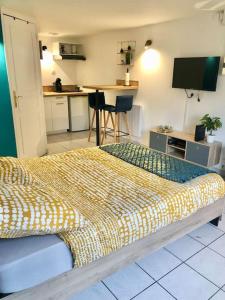 Studio Cosy - Centre Historique