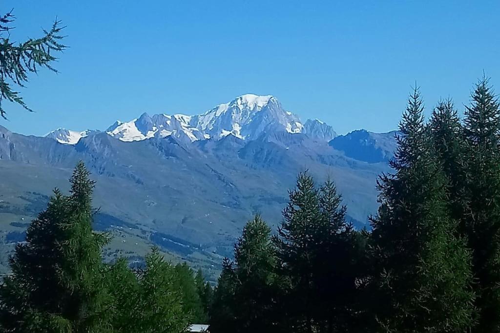 Appartement Studio Cosy classé Pied des pistes Plagne village 378 Route de la Plagne 73210 Mâcot La Plagne