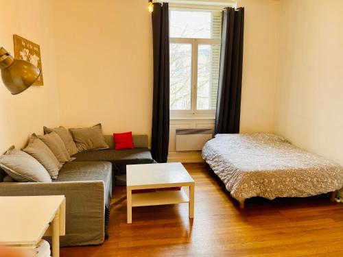 Studio cosy de 28m2 au centre de Strasbourg, avec parking en supplément