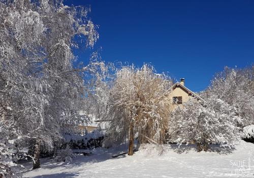 Studio cosy et fonctionnel entre Saule et Lilas
