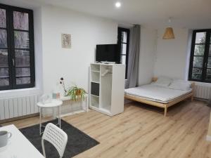 Appartement Studio Cosy Hyper centre - Fibre - Netflix 1 Rue Massenet 49500 Segré Pays de la Loire