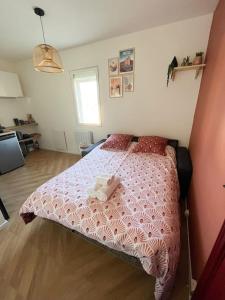Studio - Cosy Kaza