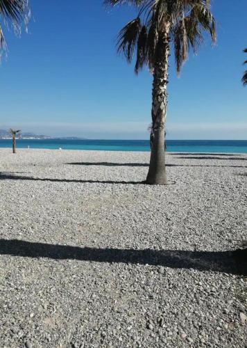 Studio cosy refait a neuf à 50 m de la plage