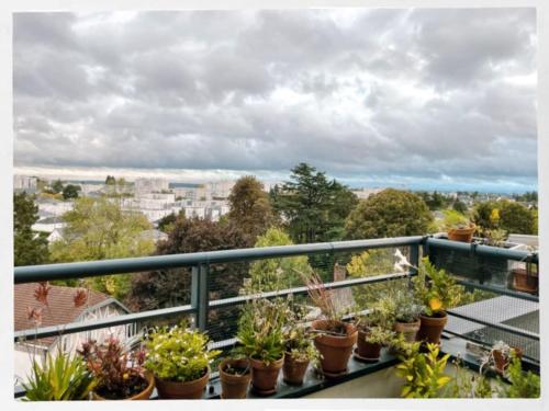 Studio cosy terrasse panoramique & parking