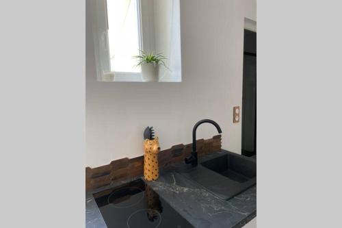 Studio Côté Cale