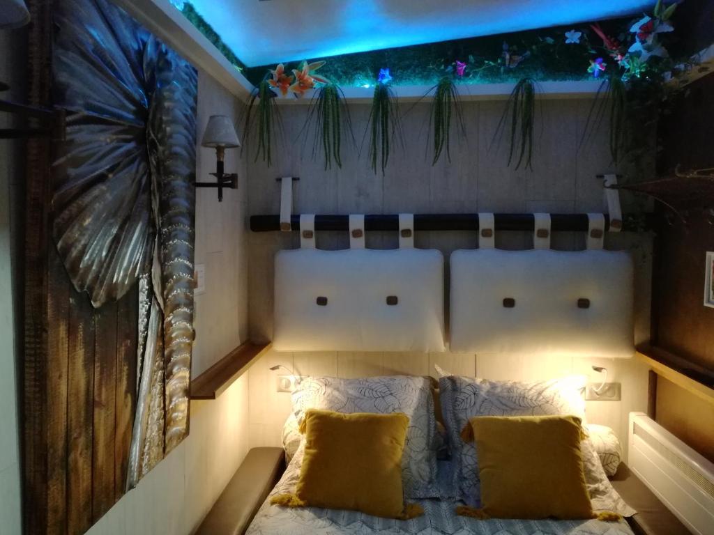 studio Côté Sud vert