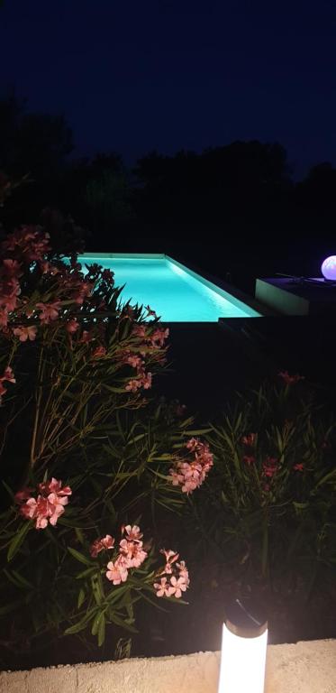 Studio cozy, vue sur le golf Houlgate