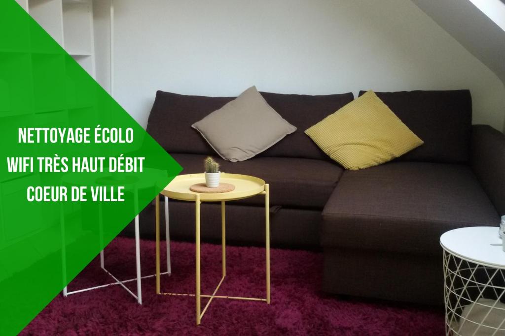 Studio cure ou vacances avec accès direct Thermes 40100 Dax