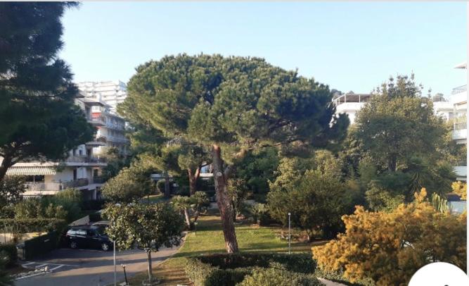 Appartement Studio dans appartement 61 Boulevard Alexandre III 06400 Cannes