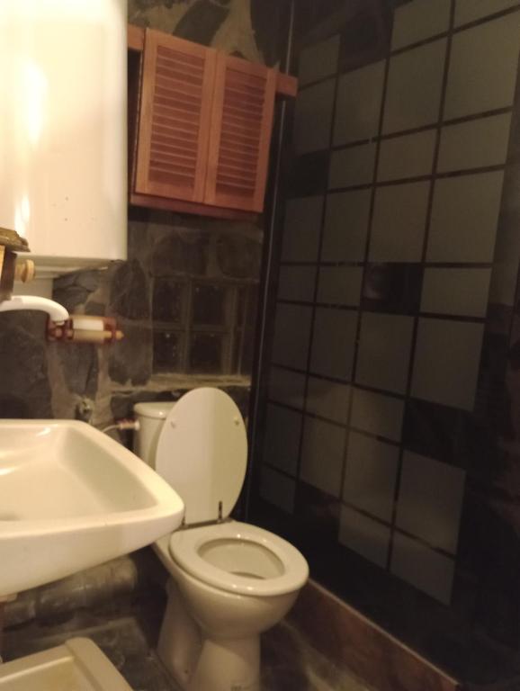 Appartement Studio dans cave voûtée en montagne La Thuile-Celliers 73260 La Léchère
