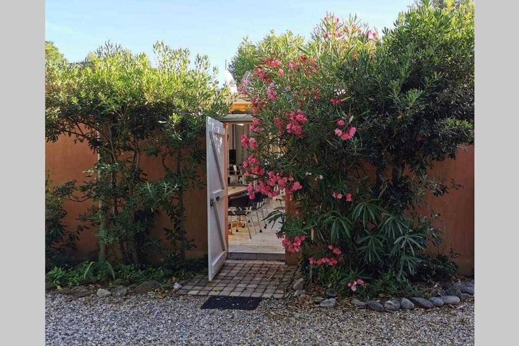 Studio dans jardin 34200 Sète