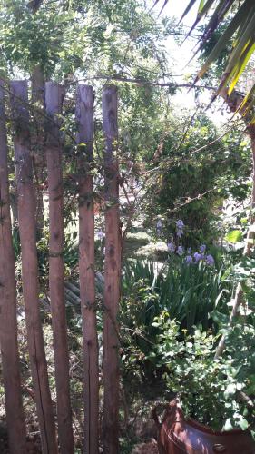 Studio dans jardin