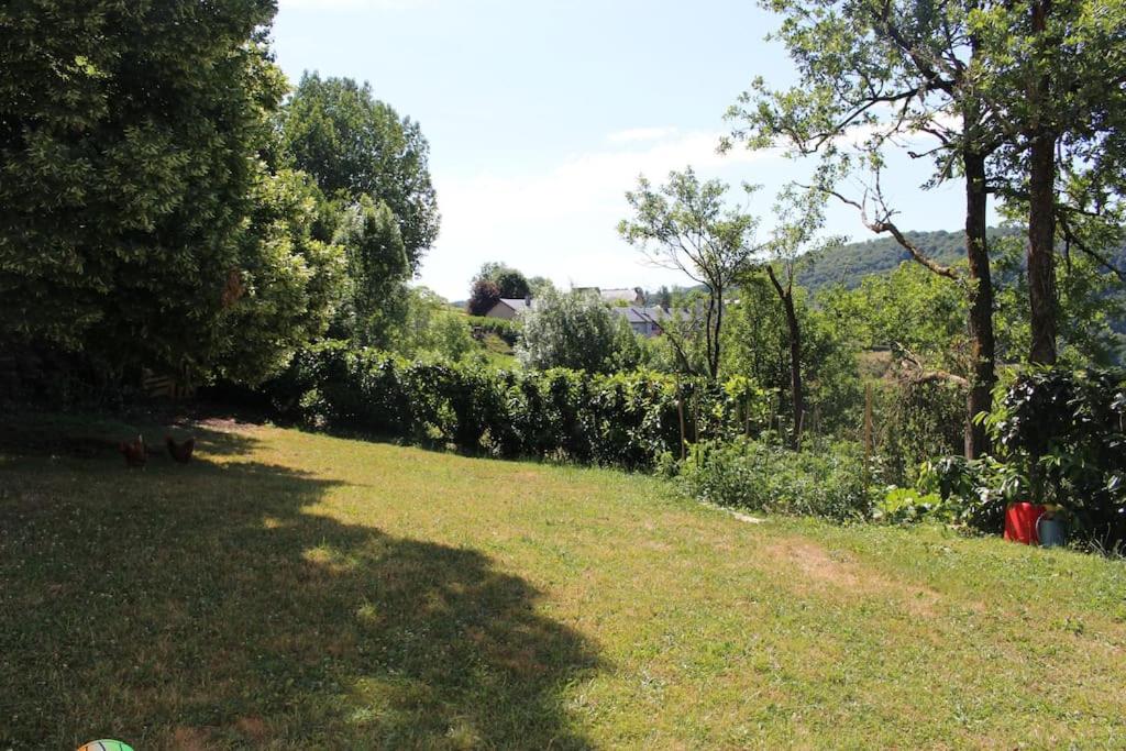 Studio dans la vallée de l'Aveyron 3 route du moulin de petit, 12510 Druelle