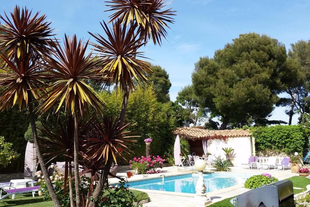 Appartement Studio dans villa de charme, piscine, proche plage Rez de chaussée 20 Traverse du Soleil 13260 Cassis